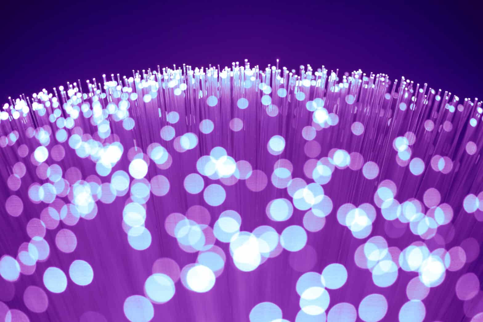 Purple Fiber Optics